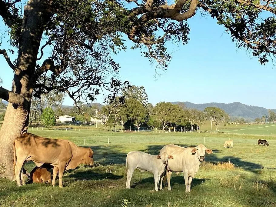 Holiday home Kenilworth Farmhouse Coolabine Australia